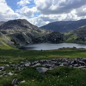 Meet your Posher, Sophia